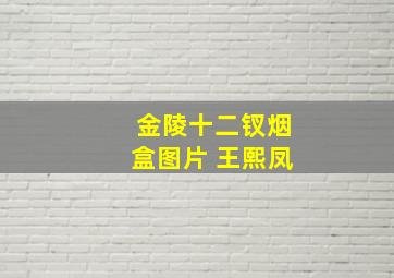 金陵十二钗烟盒图片 王熙凤